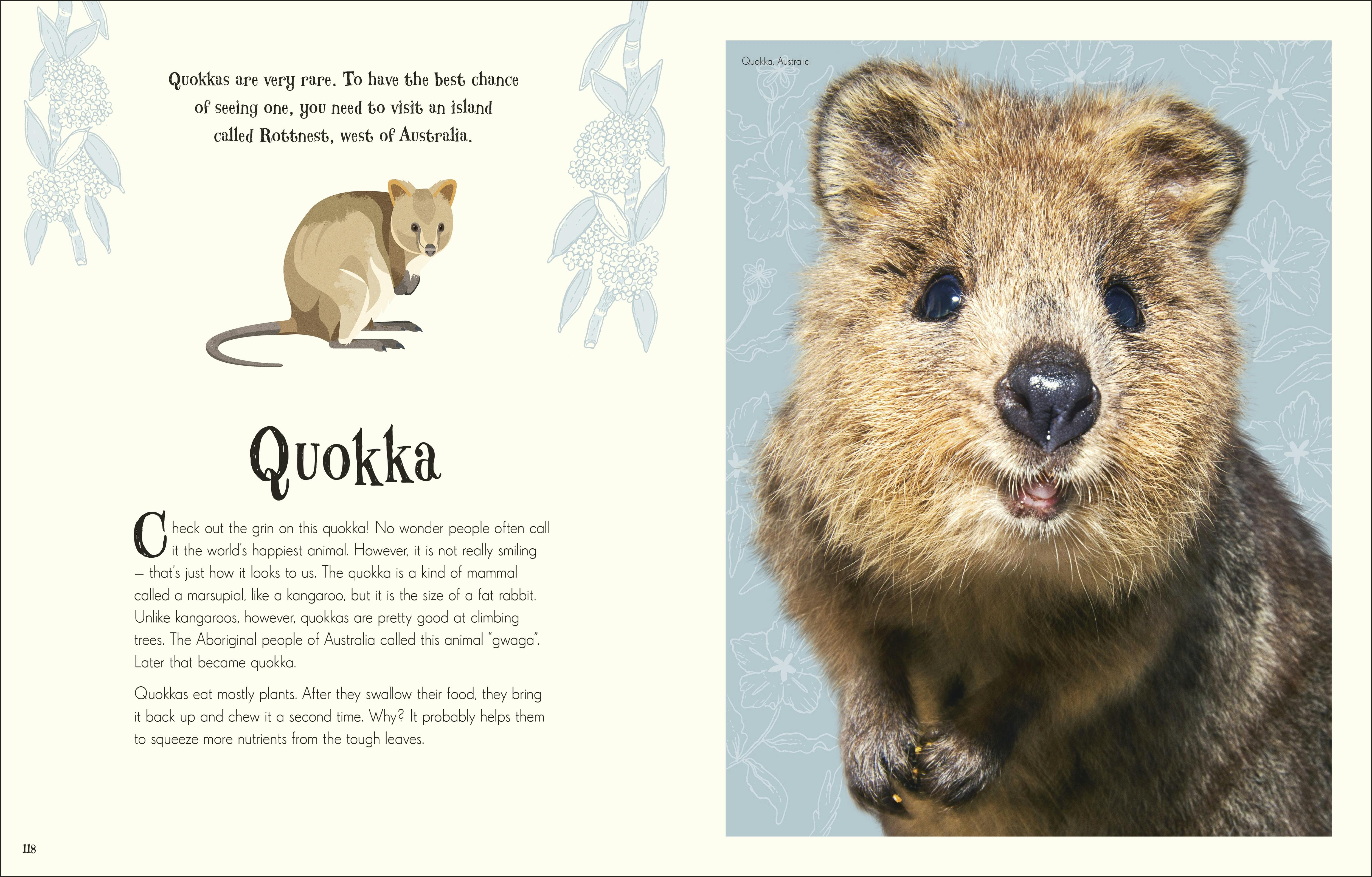 An Anthology of Intriguing Animals - Penguin Books Australia