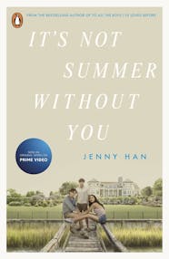 'It's Not Summer Without You' book cover.