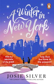 A Winter in New York book cover.
