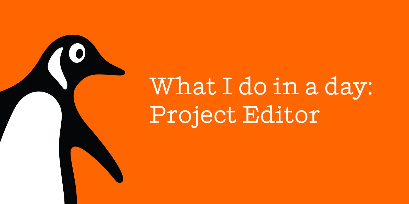 What I do in a day: Project Editor