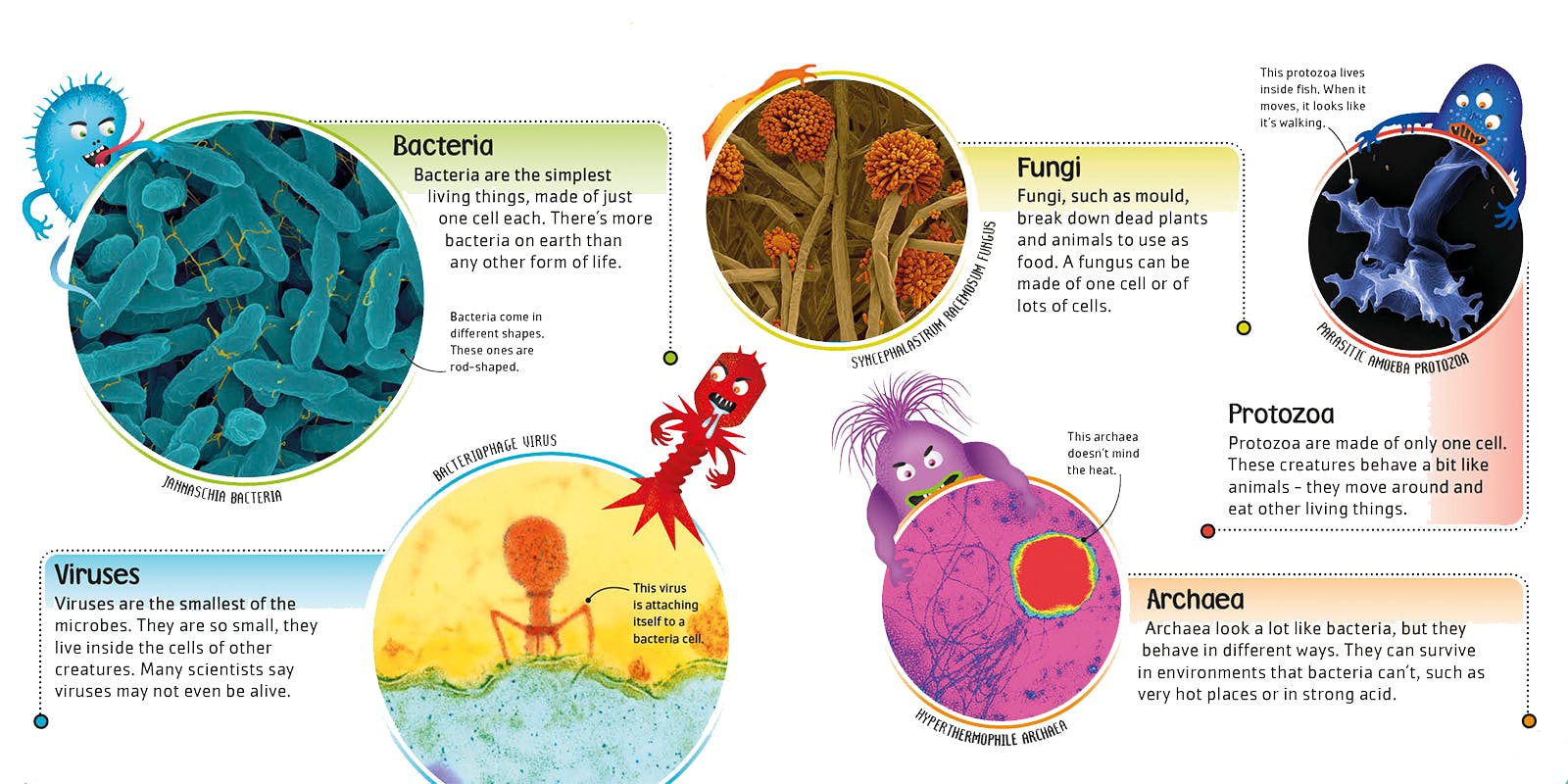 5 fantastically gross bacteria facts - Penguin Books Australia