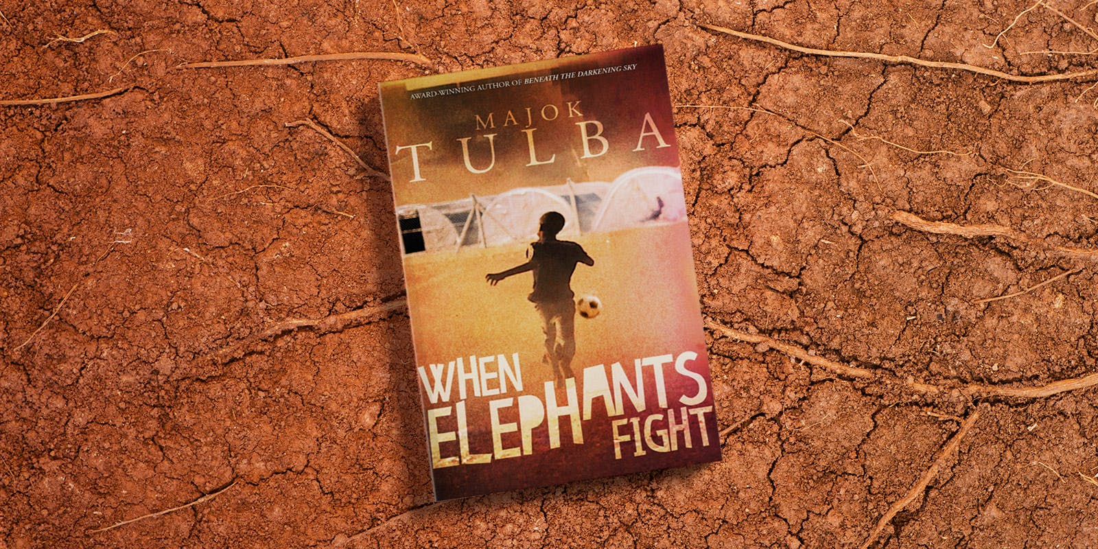 When Elephants Fight book club notes