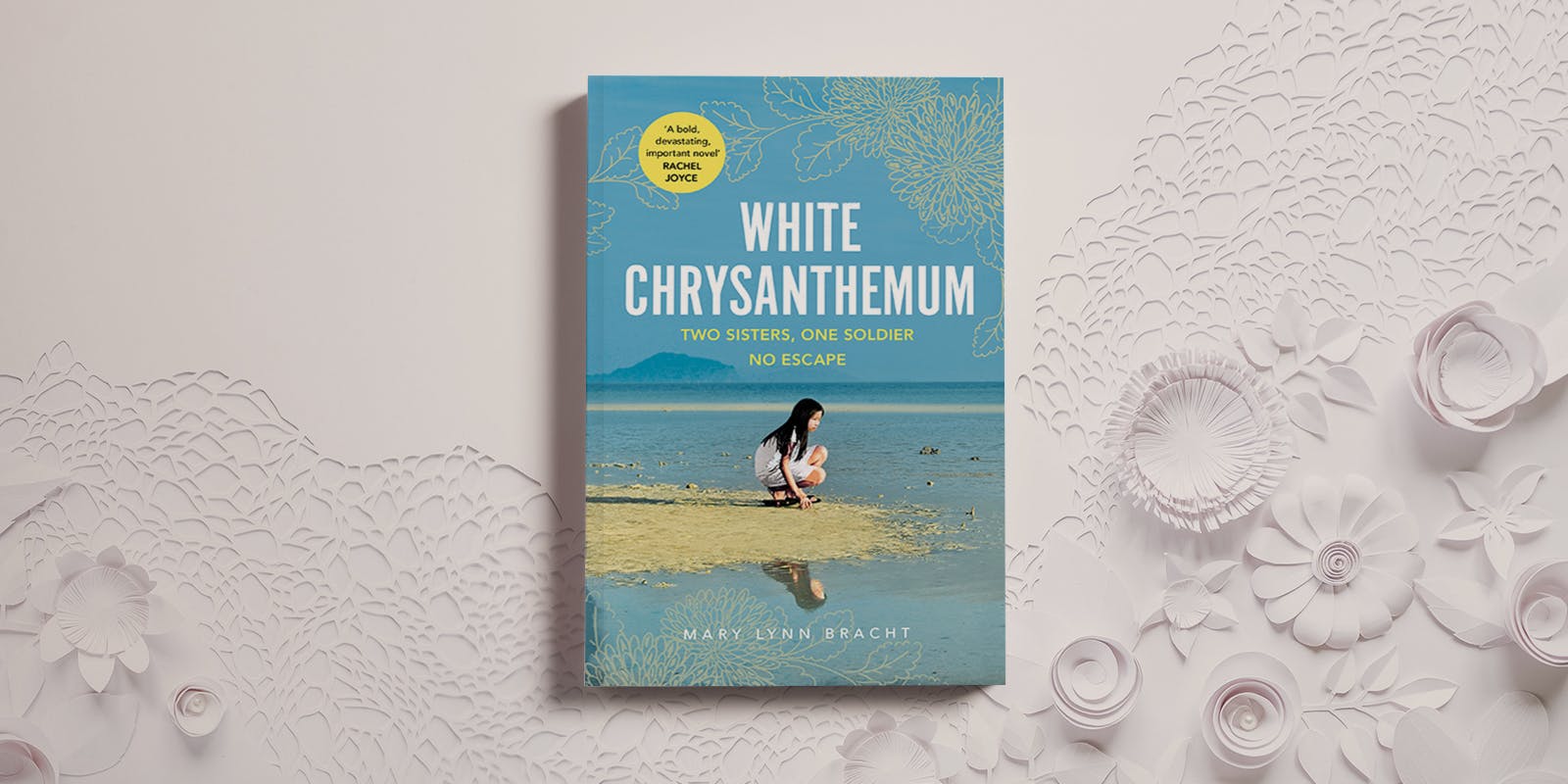 Writing White Chrysanthemum 