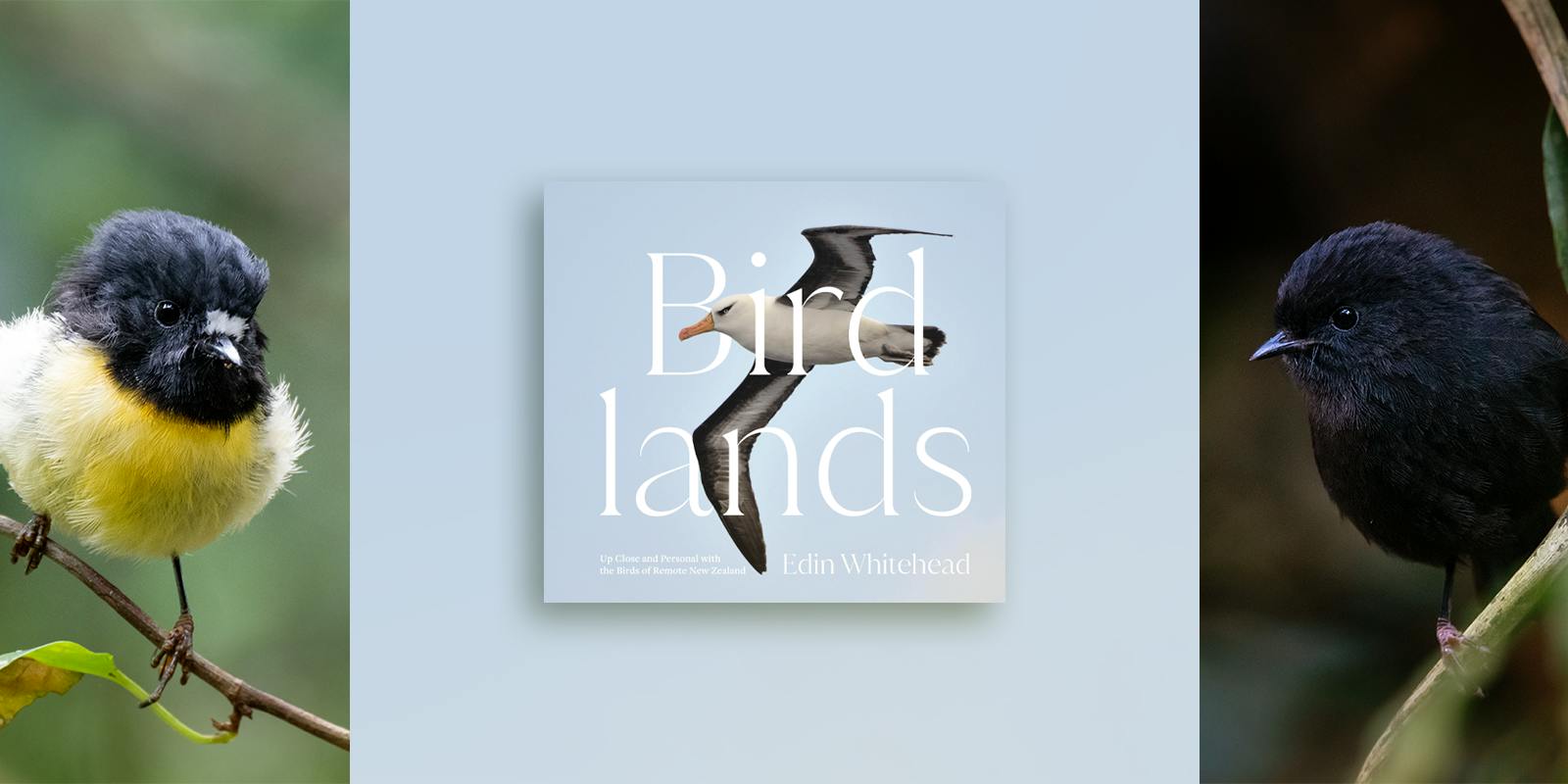 An audience with Bird of the Year