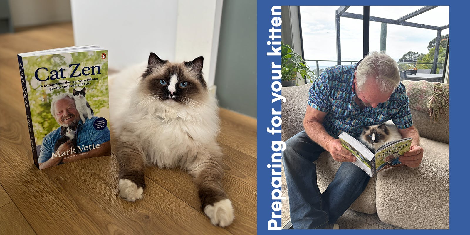 Preparing for your kitten