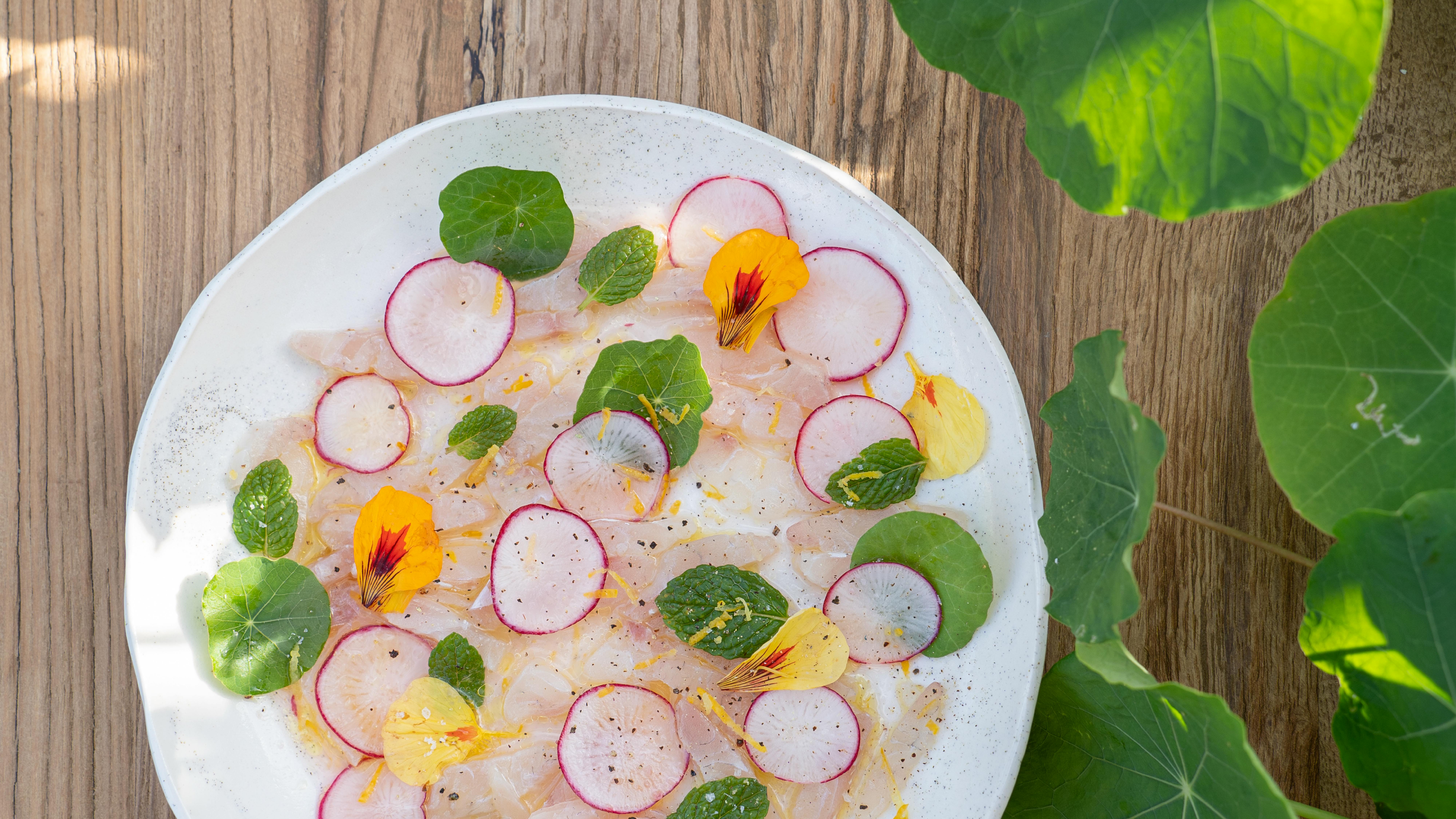 Snapper Crudo with Grapefruit | Fresh Fish Crudo with Citrus