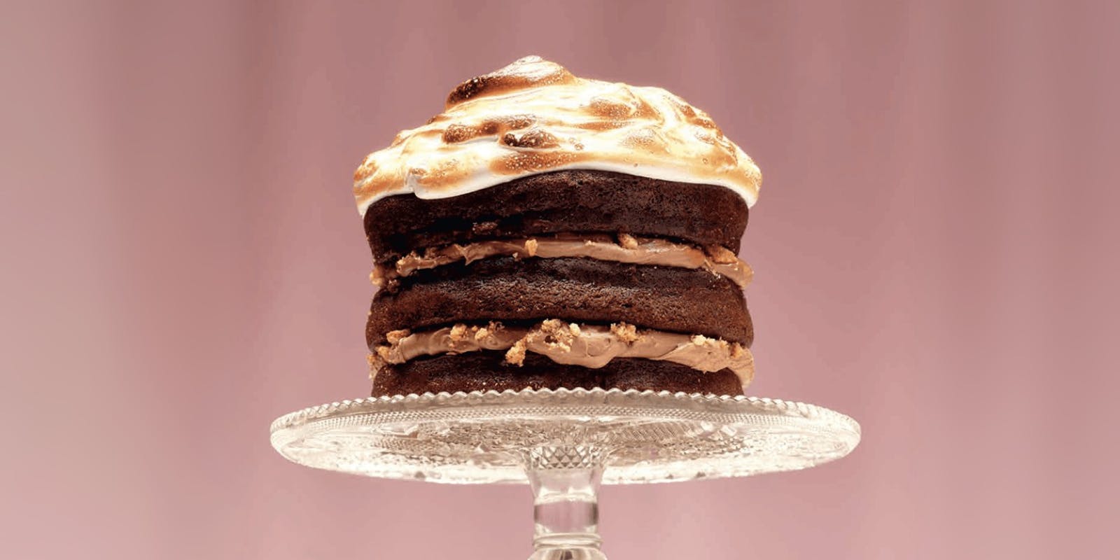 Gimme S'more Cake