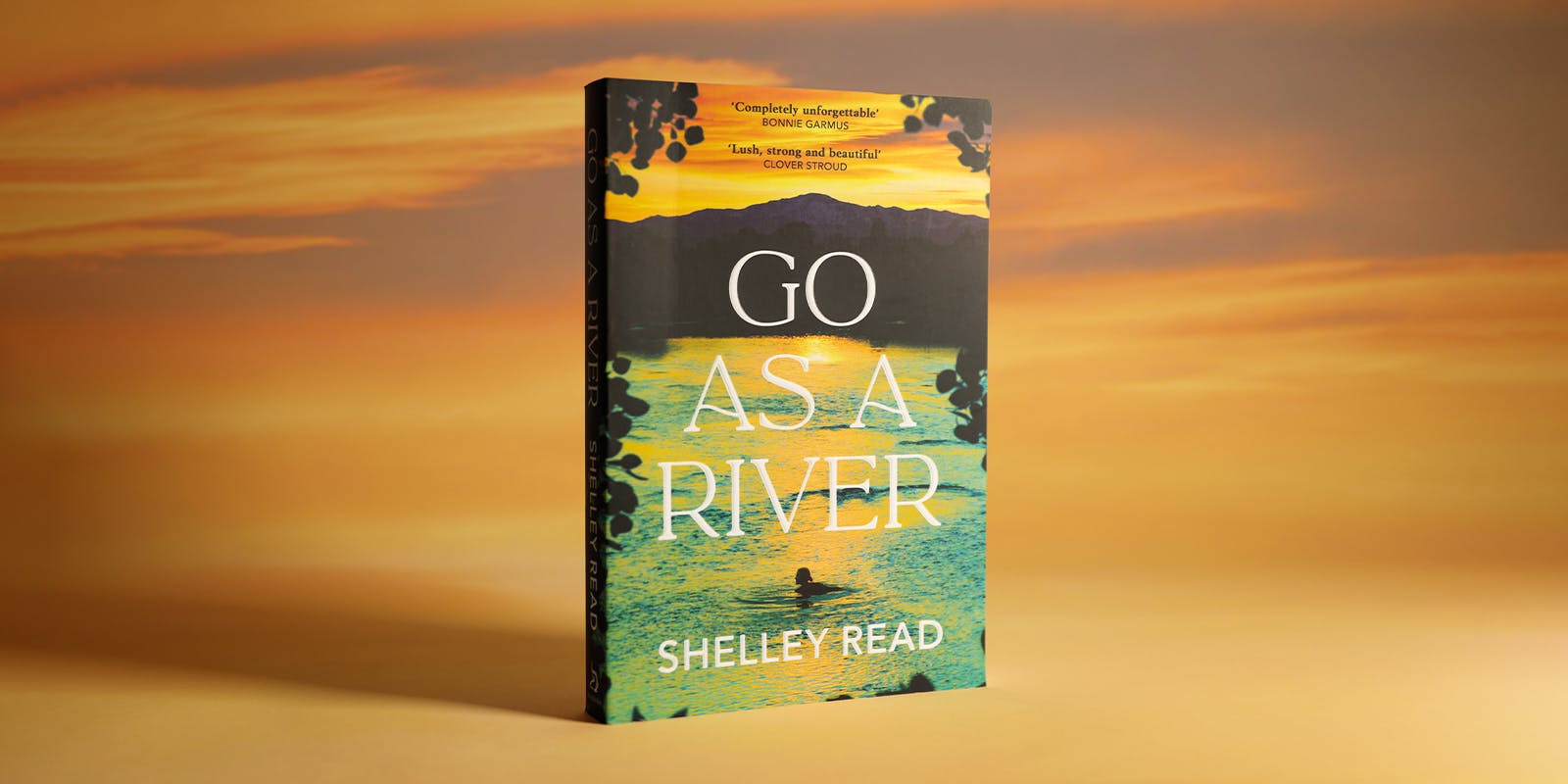 Q&A with Shelley Read author of Go as a River 
