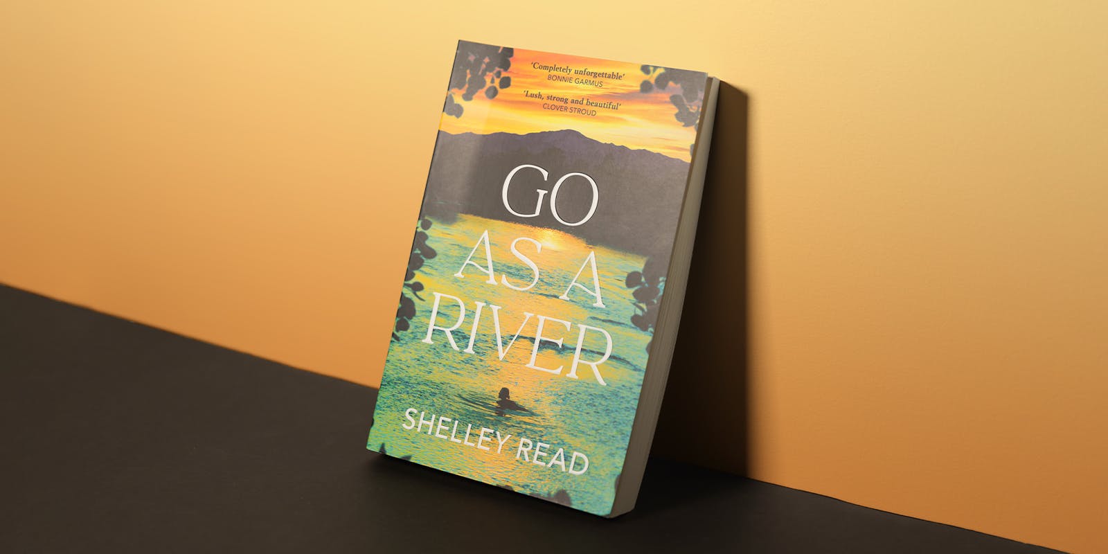 The mysterious process of writing 'Go as a River'