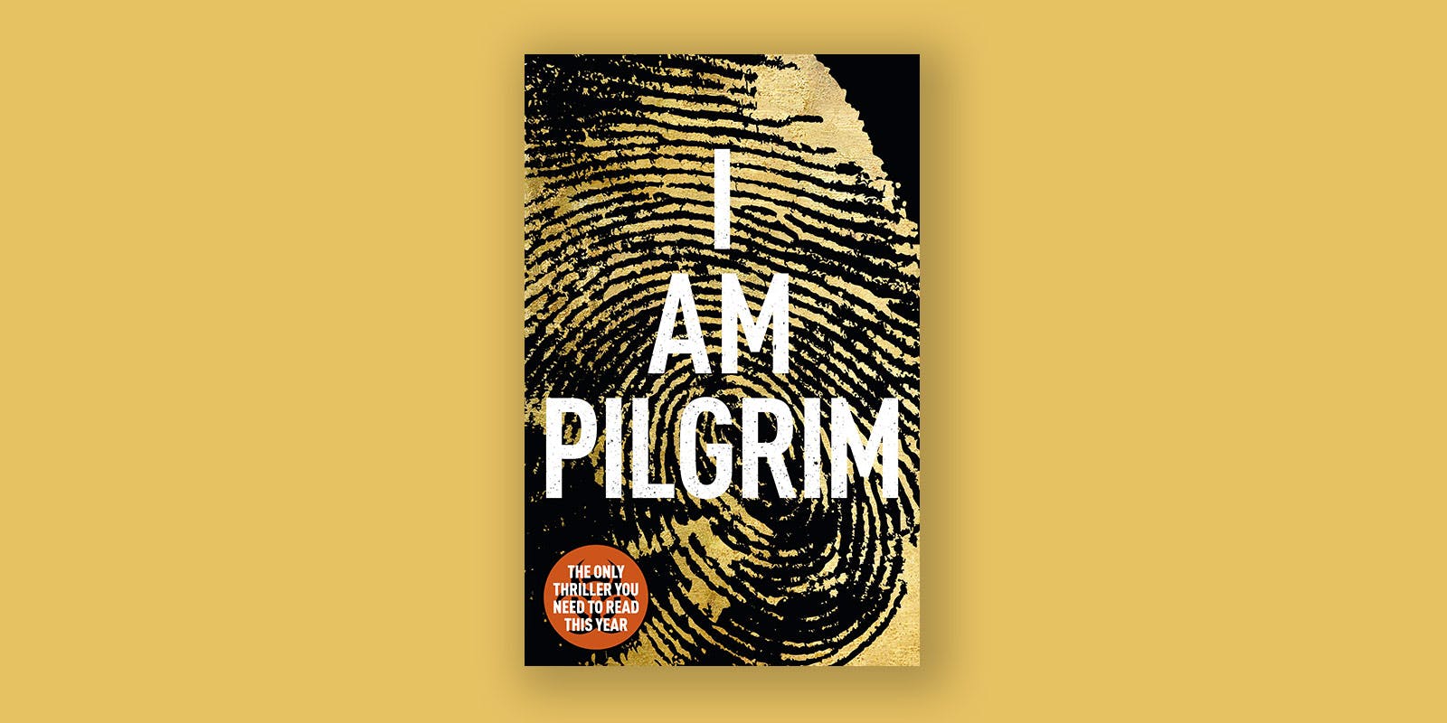 I Am Pilgrim book club notes