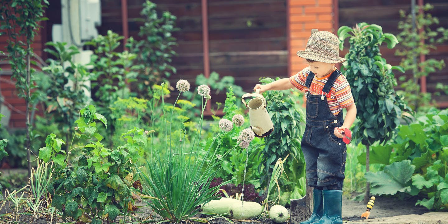 Kids dig gardening