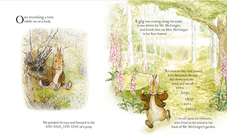 Internal page of The Tale of Benjamin Bunny Picture Book. 
