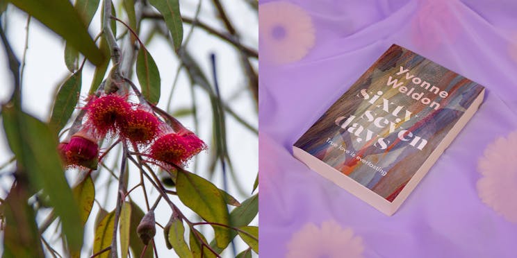 Red Eucalyptus flowers next to 'Sixty-Seven Days' by Yvonne Weldon.