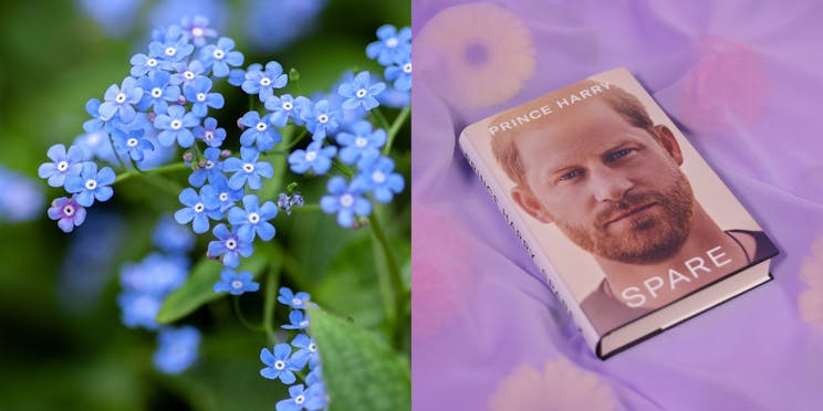 Photo of forget-me-nots next to the book 'Spare' by Prince Harry. 