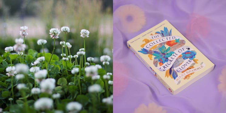 A patch of clovers next to 'The Collected Regrets of Clover' book.