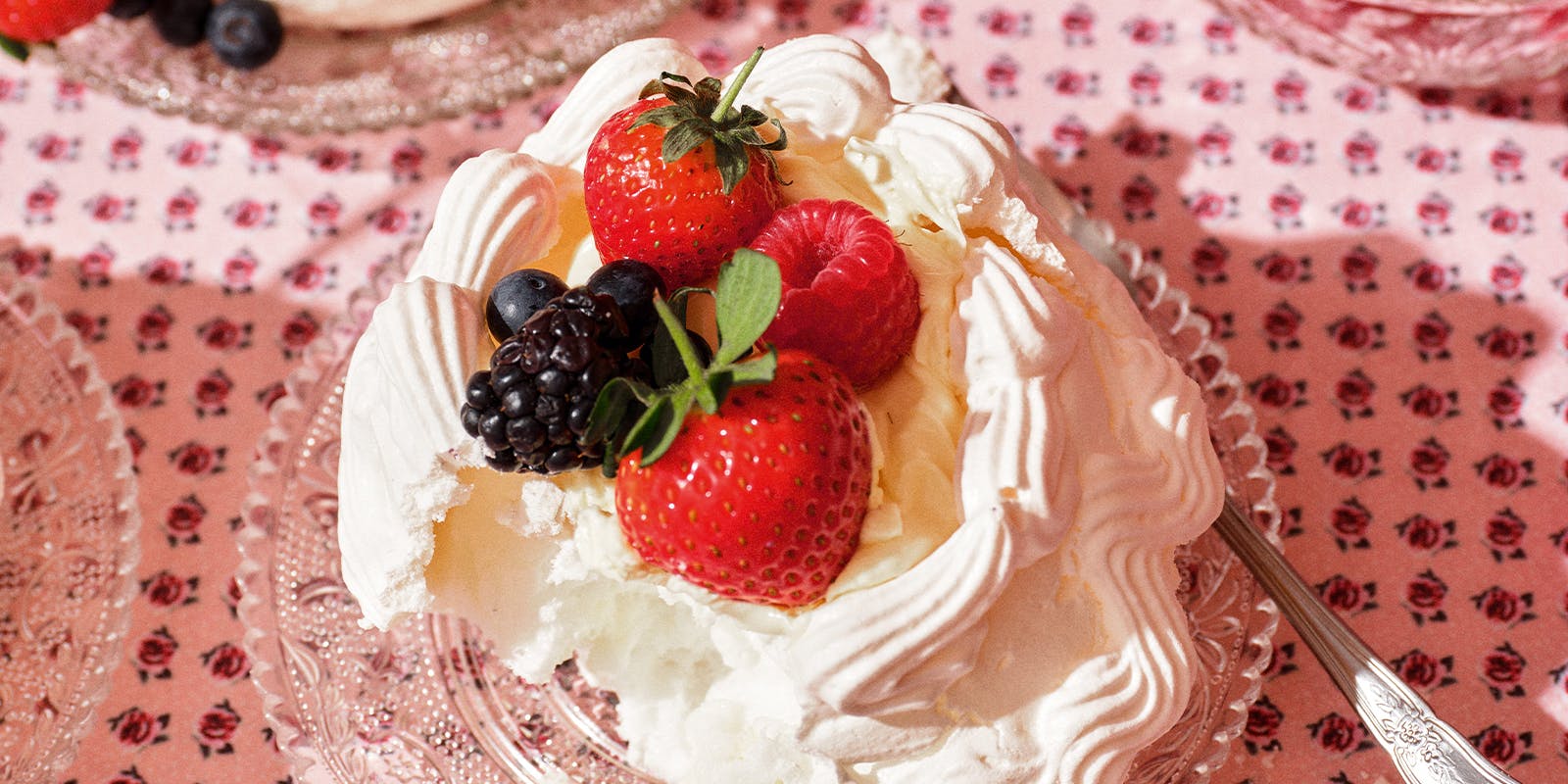 Pavlova Vintage Cakes