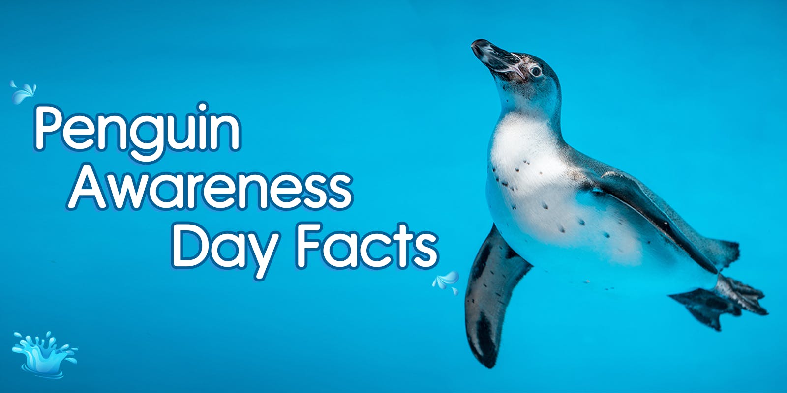 Penguin Awareness Day facts