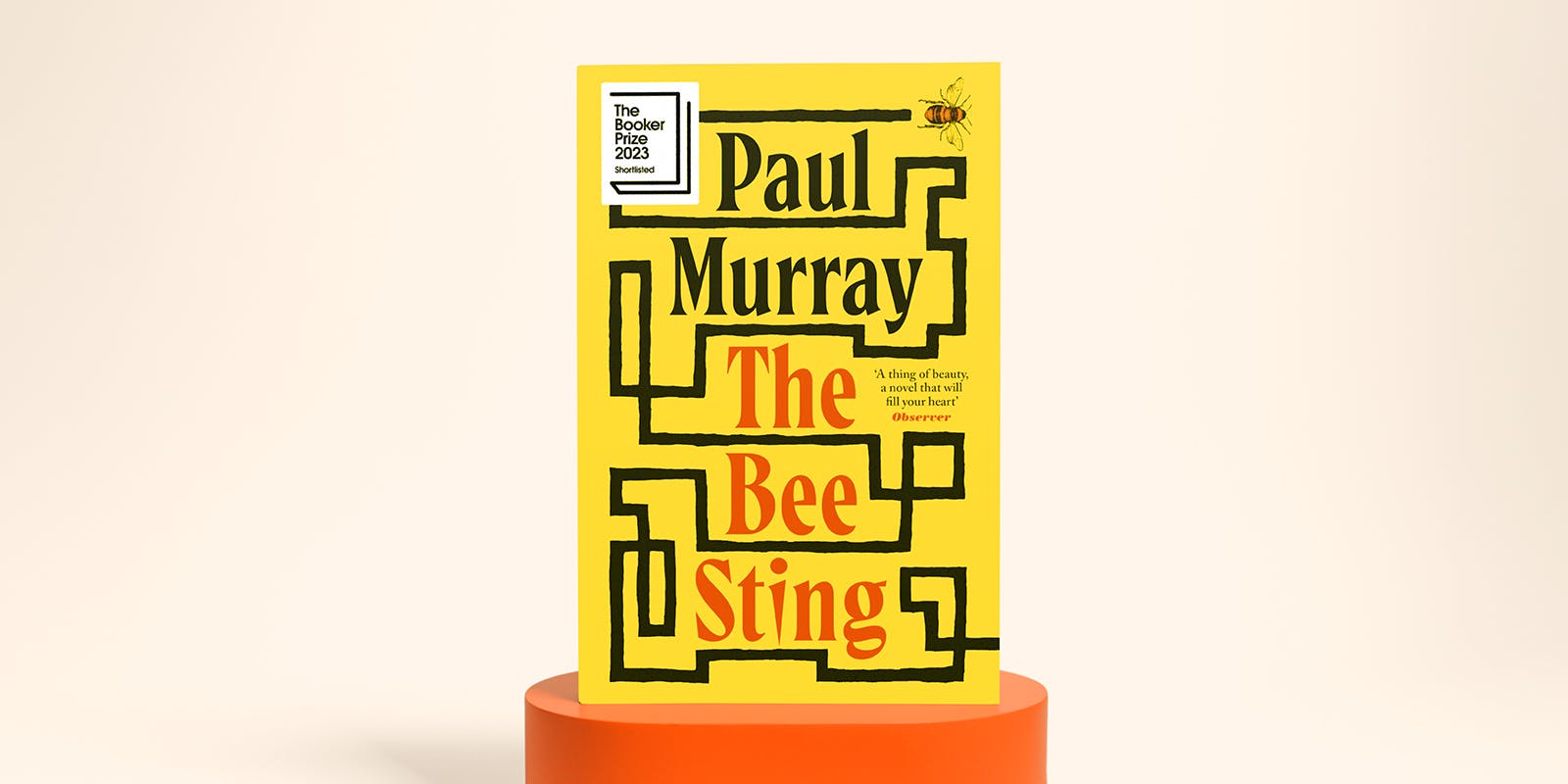 The Bee Sting book club questions