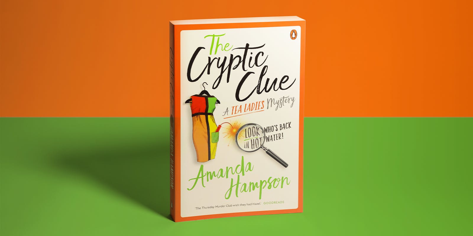 The Cryptic Clue book club questions 