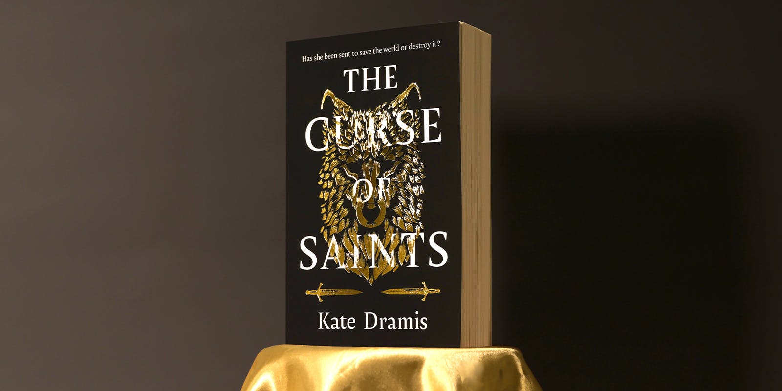 The unlikely way Kate Dramis found her literary agent 