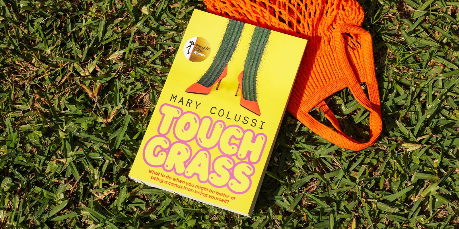 Touch Grass Reading Group Questions