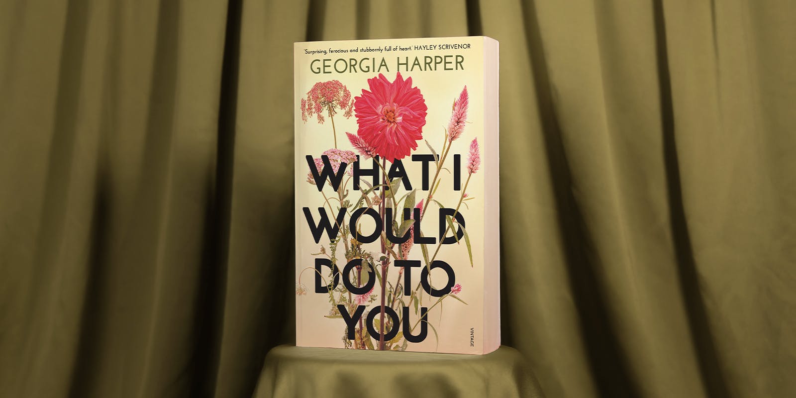 What I Would Do to You book club questions