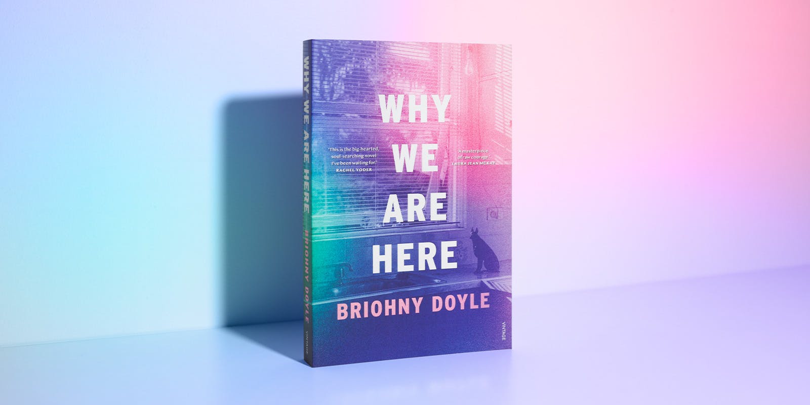 Why We Are Here book club questions
