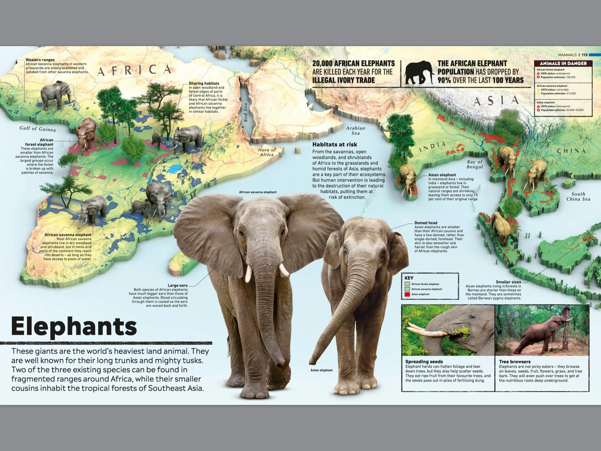 What's Where on Earth? Animal Atlas by DK - Penguin Books Australia