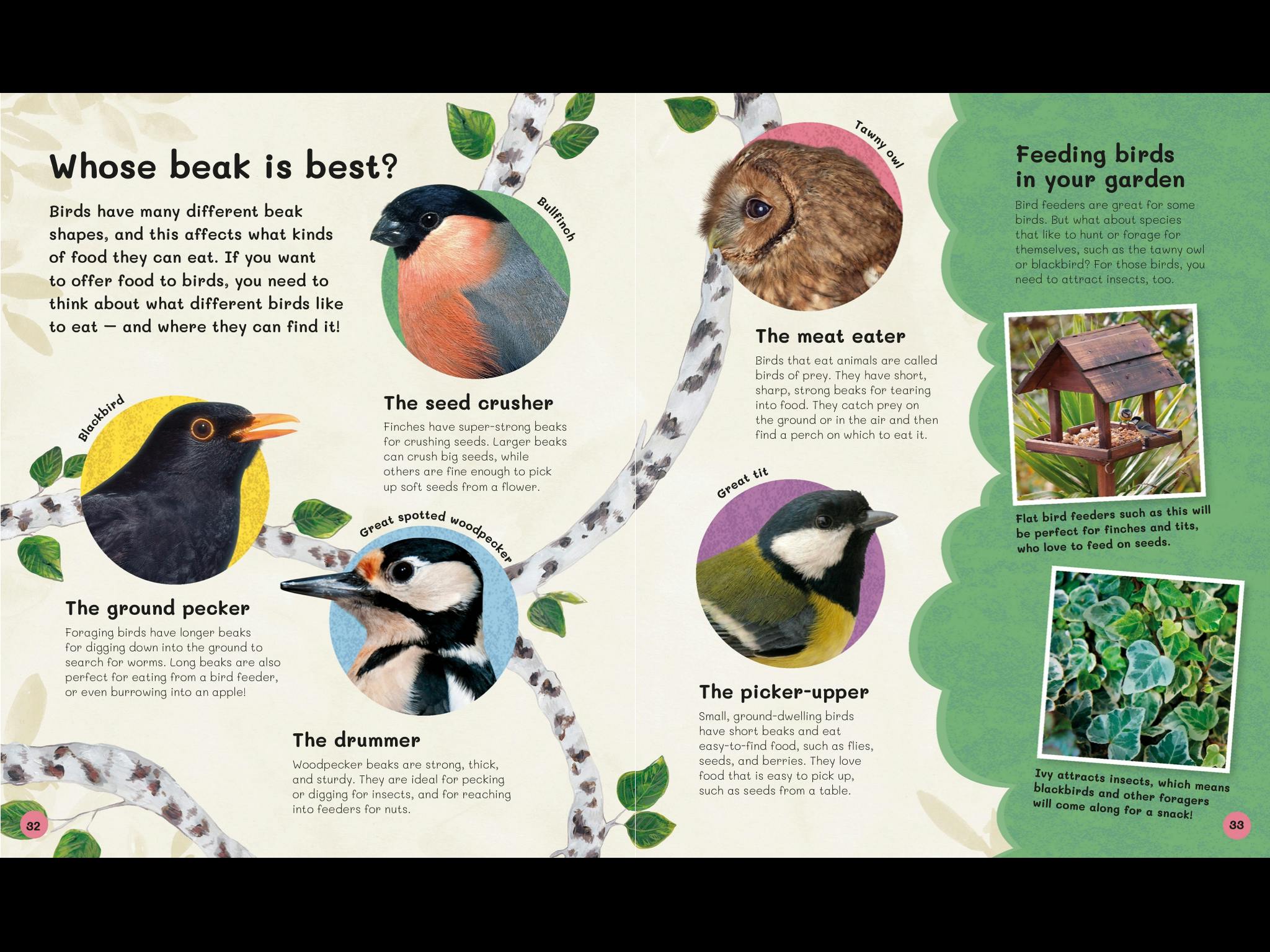 The Children's Book of Birdwatching by Dan Rouse - Penguin Books Australia