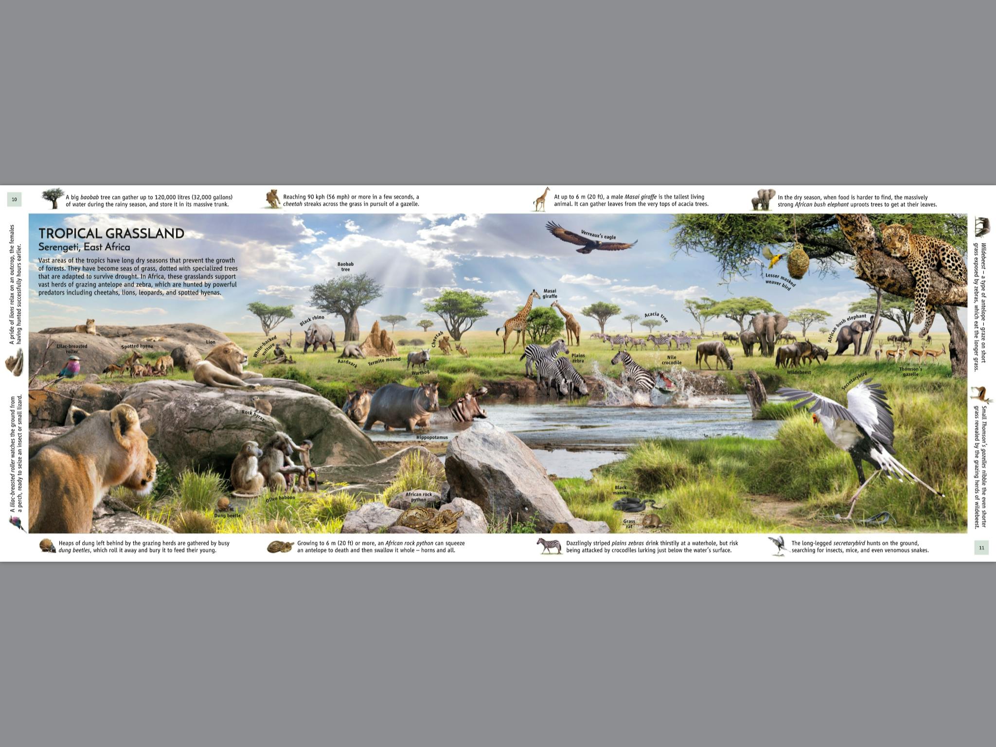 Habitats of the World by DK Penguin Books Australia