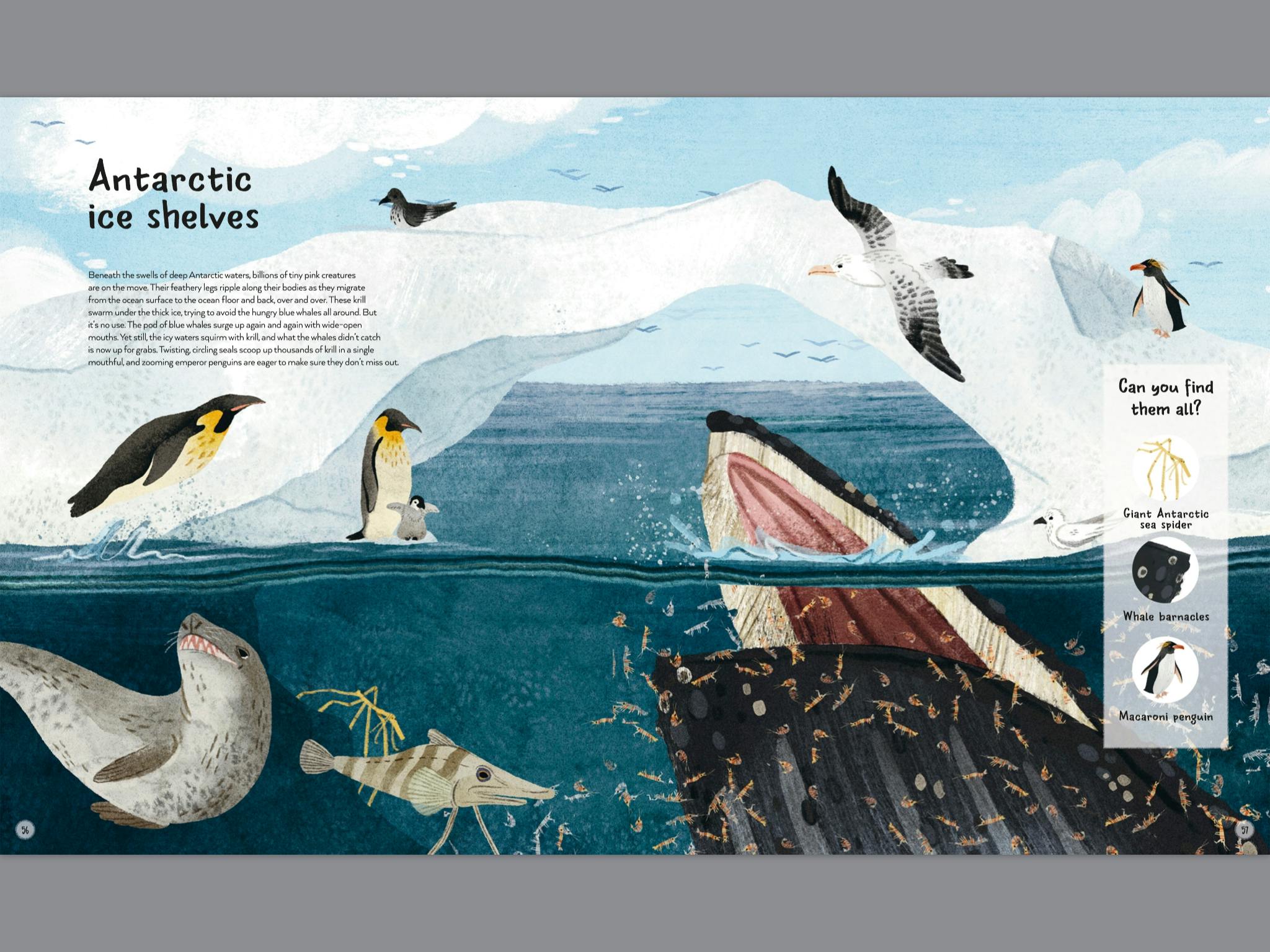 The World's Wildest Waters - Penguin Books Australia