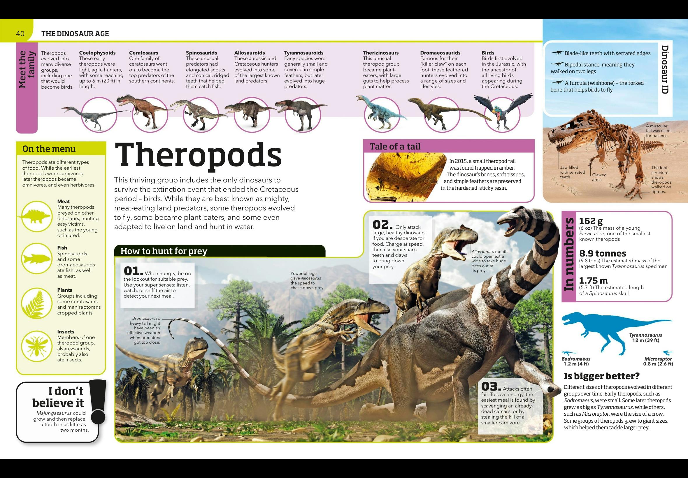 Pocket Genius: Dinosaurs - Facts At Your Fingertips By DK (Good Condition)